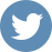 twitter icon social media