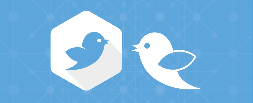 Retweet graphic featuring a patterned blue background with a white Twitter bird looking at a blue Twitter bird