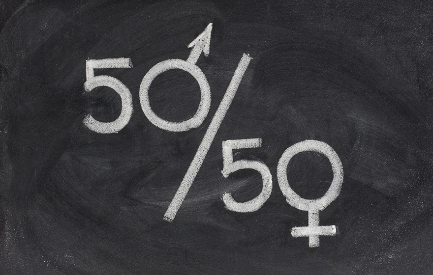 fifty percent - concept of gender equal opportunity or representation in political and public life sketched with white chalk on blackboard