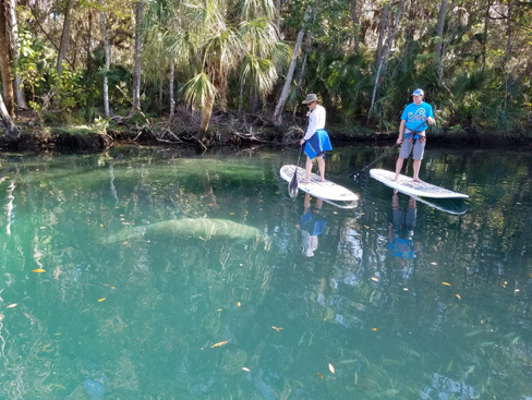 Bruce Denson on the water