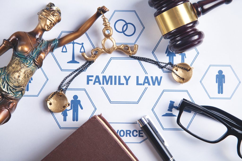 8506 - Nuts & Bolts of Family Law