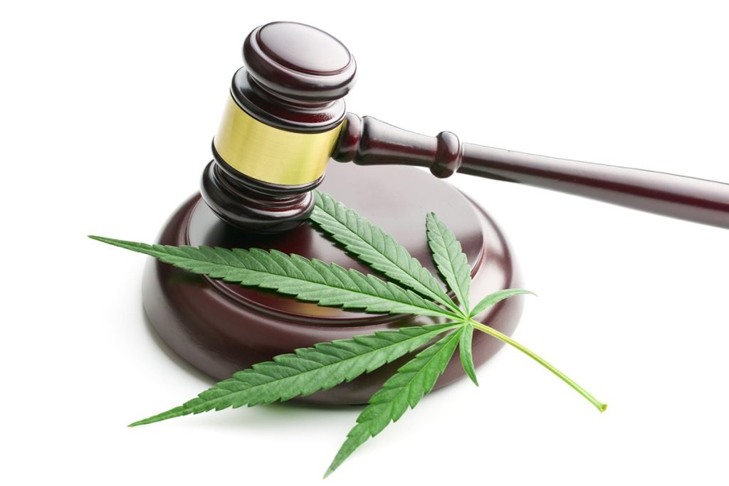 8504 - Hot Topics in Employment Law: Cannabis and Non-Competes