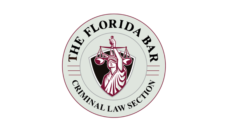Criminal Law Section