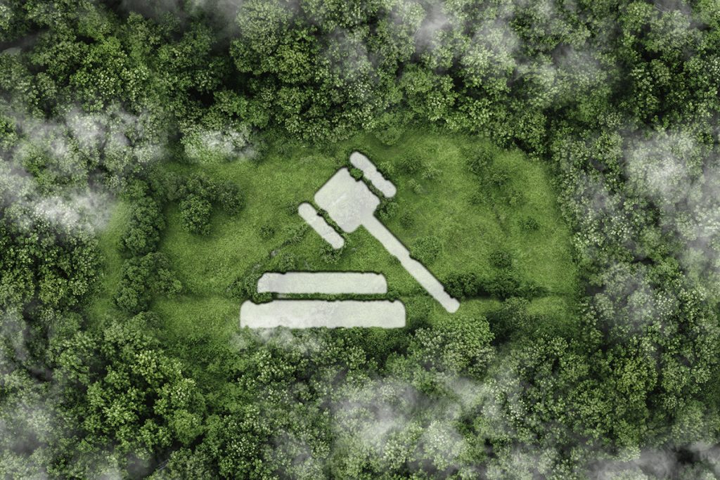 8503 - Nuts & Bolts of Real Estate Development, Land Use and Environmental Law